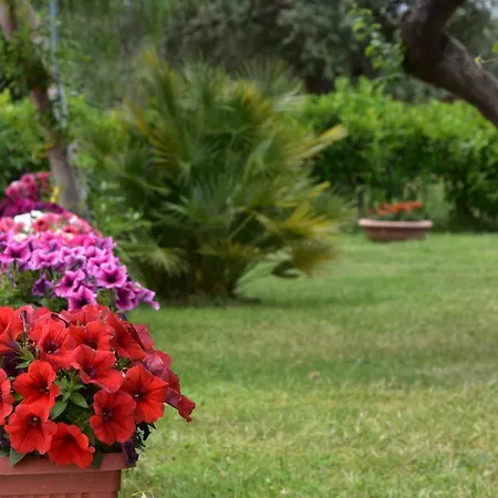 Lumarosa Country Tatil Evi *